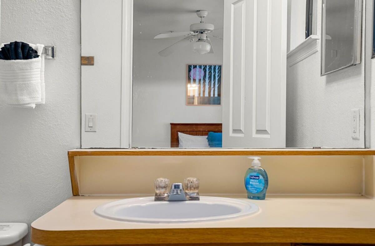 4Bd 2 Mi To Usf Free Pool + 24 Hour Gym Villa แทมปา ภายนอก รูปภาพ