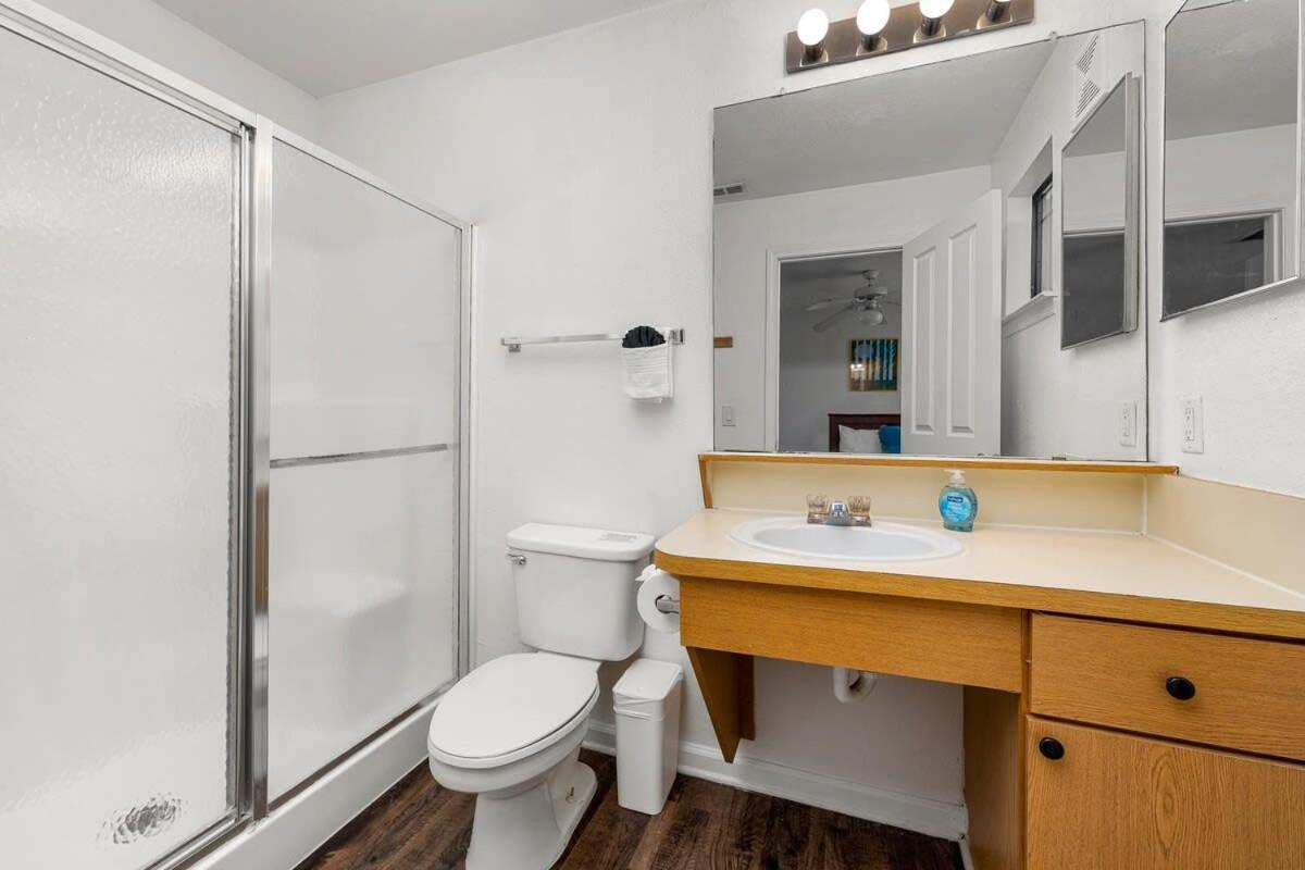 4Bd 2 Mi To Usf Free Pool + 24 Hour Gym Villa แทมปา ภายนอก รูปภาพ