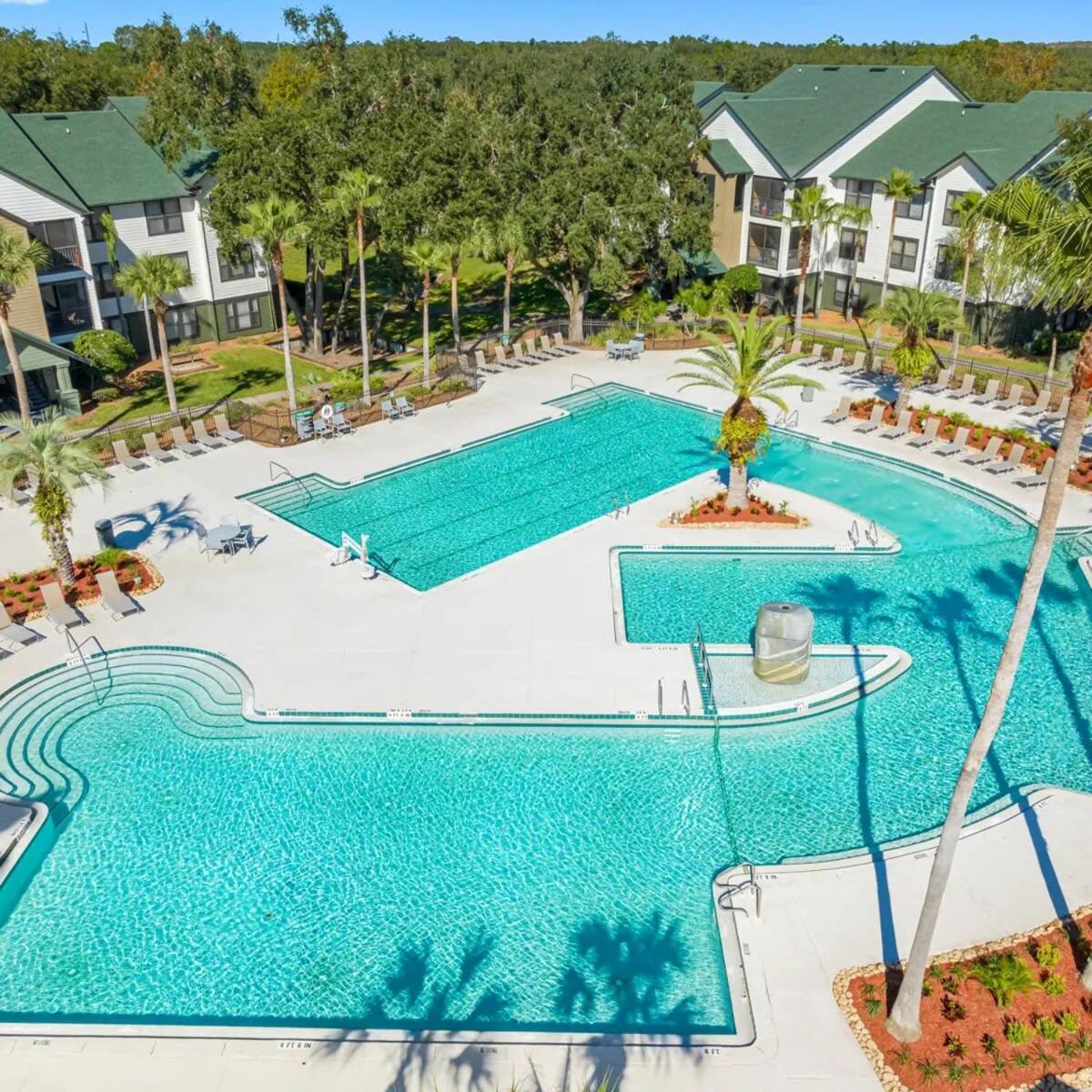 4Bd 2 Mi To Usf Free Pool + 24 Hour Gym Villa แทมปา ภายนอก รูปภาพ